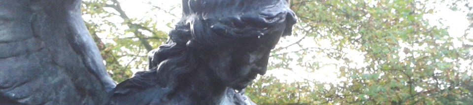 Sternschnuppe Ortenau