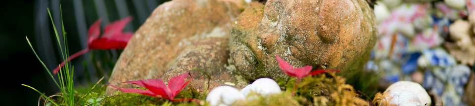 Sternschnuppe Ortenau